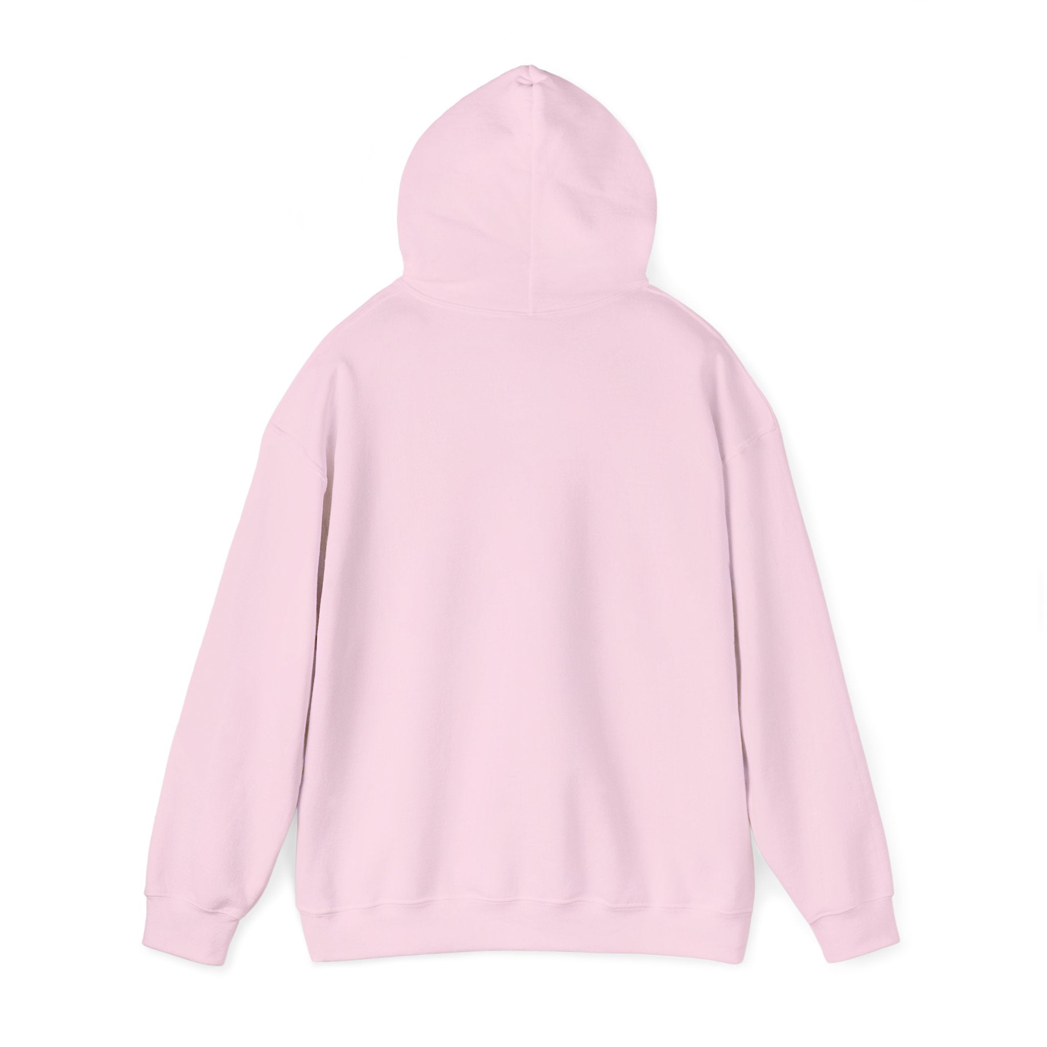 Hoodie — Sweet Sloth Spring Chapter Cute Pastel Graphic Hoodie